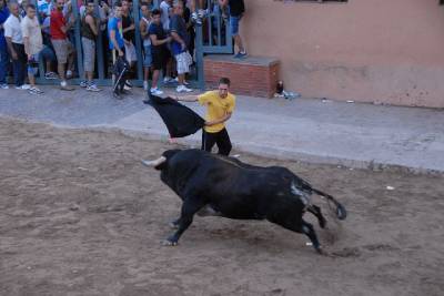 Vila-real vibra con las exhibiciones taurinas de la Asociacin Amics del Bou