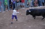 Vila-real vibra con las exhibiciones taurinas de la Asociación Amics del Bou
