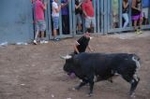 Vila-real vibra con las exhibiciones taurinas de la Asociación Amics del Bou