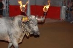 Los toros embolados dejan un herido leve por quemaduras