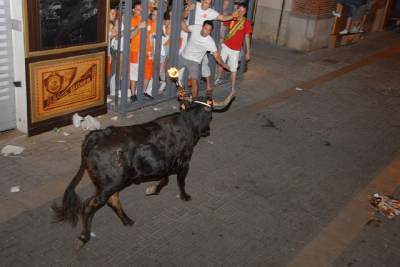 Fotografia /Galeria/2012/9/71498_38145/5_M1.jpg