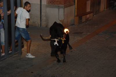 Fotografia /Galeria/2012/9/71498_38145/6_M1.jpg