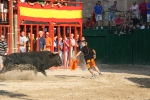 Burriana encara la última jornada taurina de la Misericòrdia 2012