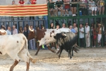 Burriana encara la última jornada taurina de la Misericòrdia 2012