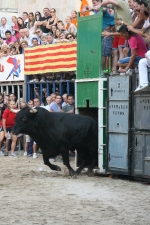 Burriana encara la última jornada taurina de la Misericòrdia 2012