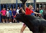 Burriana encara la última jornada taurina de la Misericòrdia 2012