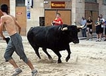 Burriana encara la última jornada taurina de la Misericòrdia 2012