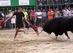 Burriana encara la última jornada taurina de la Misericòrdia 2012