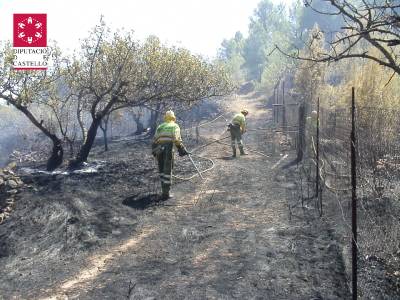 Fotografia /Galeria/2012/9/71522_38156/3_M1.jpg