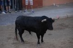 El herido por asta de toro de Vila-real recibe el alta médica