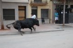 Vila-real cierra las exhibiciones taurinas y hoy despedirá las fiestas de la Mare de Déu de Gràcia