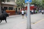Vila-real cierra las exhibiciones taurinas y hoy despedirá las fiestas de la Mare de Déu de Gràcia