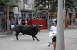 Vila-real cierra las exhibiciones taurinas y hoy despedirá las fiestas de la Mare de Déu de Gràcia