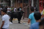 Vila-real cierra las exhibiciones taurinas y hoy despedirá las fiestas de la Mare de Déu de Gràcia