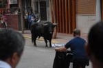 Vila-real cierra las exhibiciones taurinas y hoy despedirá las fiestas de la Mare de Déu de Gràcia
