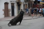 Vila-real cierra las exhibiciones taurinas y hoy despedirá las fiestas de la Mare de Déu de Gràcia
