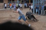 Vila-real cierra las exhibiciones taurinas y hoy despedirá las fiestas de la Mare de Déu de Gràcia