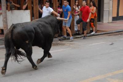 Fotografia /Galeria/2012/9/71585_38200/3_M1.jpg