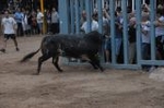 Vila-real cierra las exhibiciones taurinas y hoy despedirá las fiestas de la Mare de Déu de Gràcia