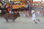 El Torero y Sepúlveda cierran las exhibiciones taurinas en Burriana