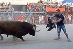 El Torero y Sepúlveda cierran las exhibiciones taurinas en Burriana