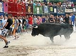 El Torero y Seplveda cierran las exhibiciones taurinas en Burriana