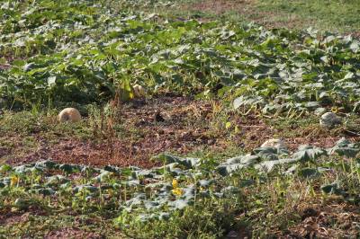 Fotografia /Galeria/2012/9/72411_38666/2_M1.jpg