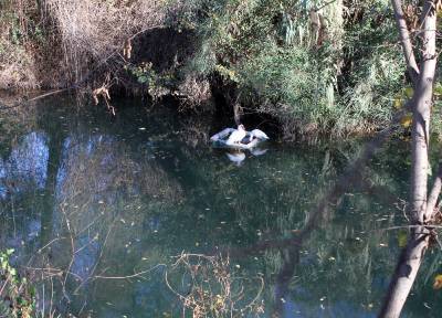 Fotografia /Galeria/2013/1/77584_41578/3_M1.jpg