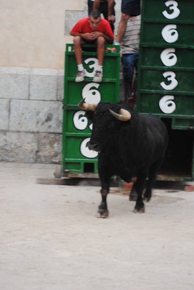 Fotografia /Galeria/2013/10/93242_61119/3_M1.jpg