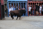 Toros y exposiciones marcan el inicio de las fiestas de Les Alqueries