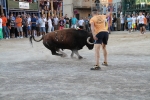 Toros y exposiciones marcan el inicio de las fiestas de Les Alqueries