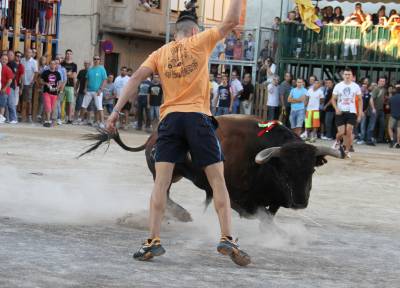 Toros y exposiciones marcan el inicio de las fiestas de Les Alqueries