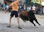 Toros y exposiciones marcan el inicio de las fiestas de Les Alqueries