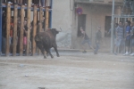Toros y exposiciones marcan el inicio de las fiestas de Les Alqueries