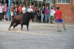Toros y exposiciones marcan el inicio de las fiestas de Les Alqueries