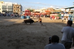 Toros y exposiciones marcan el inicio de las fiestas de Les Alqueries