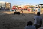 Toros y exposiciones marcan el inicio de las fiestas de Les Alqueries