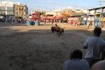 Toros y exposiciones marcan el inicio de las fiestas de Les Alqueries