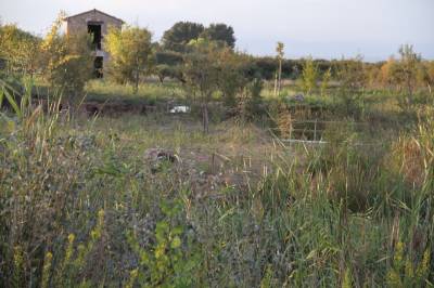 Fotografia /Galeria/2013/10/93343_49633/2_M1.jpg