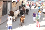 Encierro rápido, conjuntado y limpio