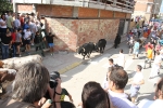Encierro rápido, conjuntado y limpio