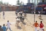 Encierro rápido, conjuntado y limpio