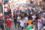 Encierro rápido, conjuntado y limpio
