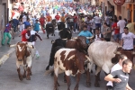 Encierro rápido, conjuntado y limpio