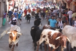 Encierro rápido, conjuntado y limpio