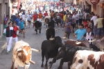 Encierro rápido, conjuntado y limpio
