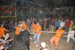 toros