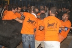 toros