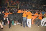 toros