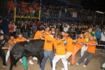 toros